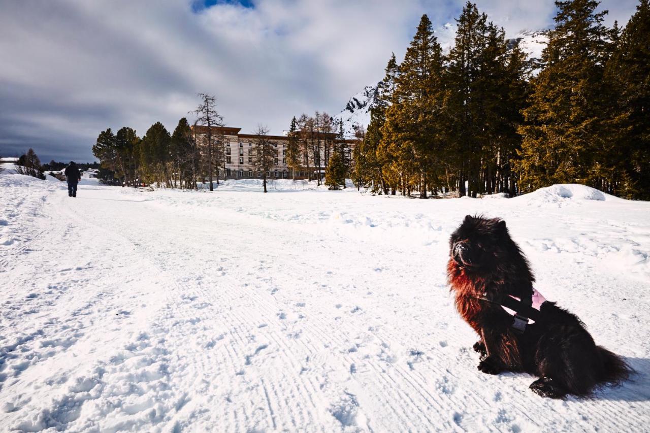 Maloja Palace Residence Engadin-St Moritz Co2-Neutral Екстериор снимка