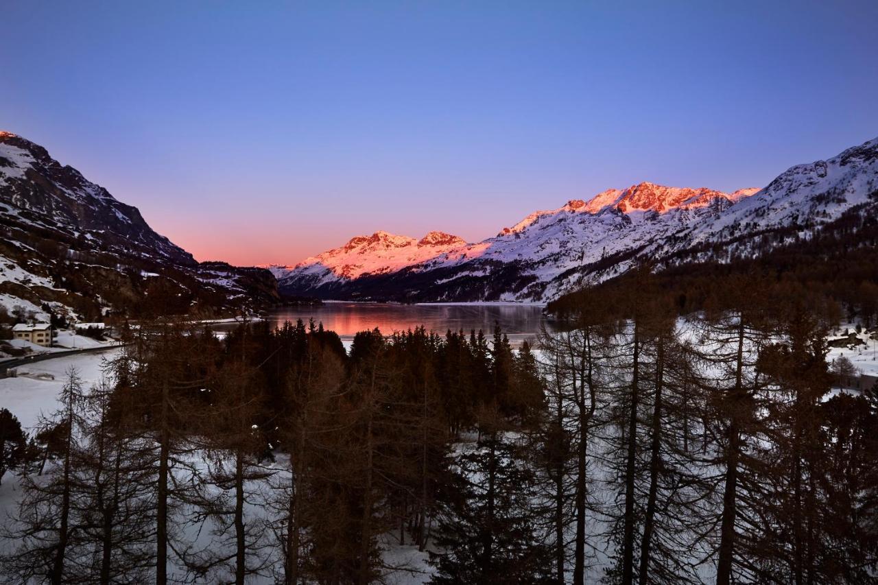 Maloja Palace Residence Engadin-St Moritz Co2-Neutral Екстериор снимка